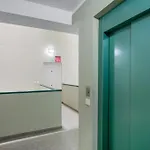 Paraiso Atlantico Радазул